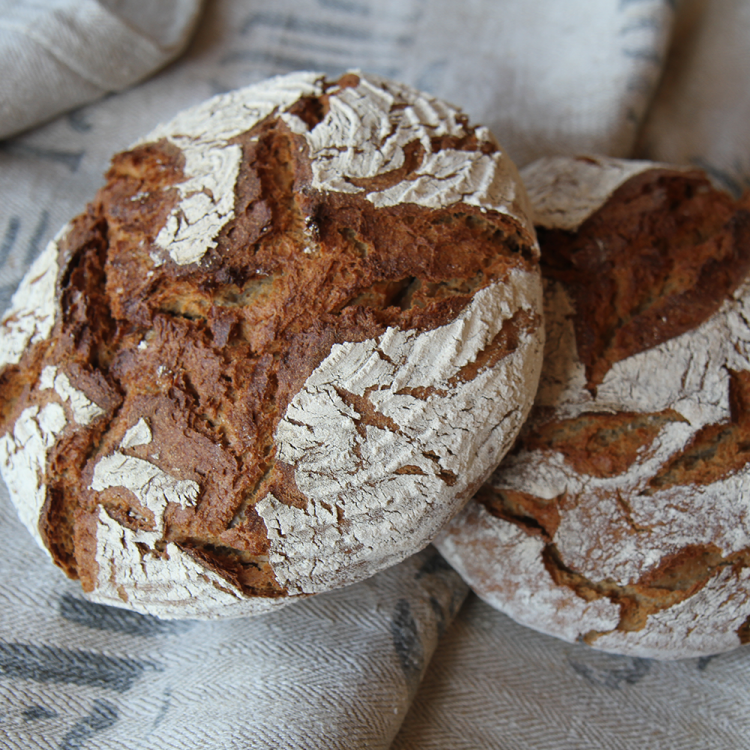 Champagner-Roggenmischbrot